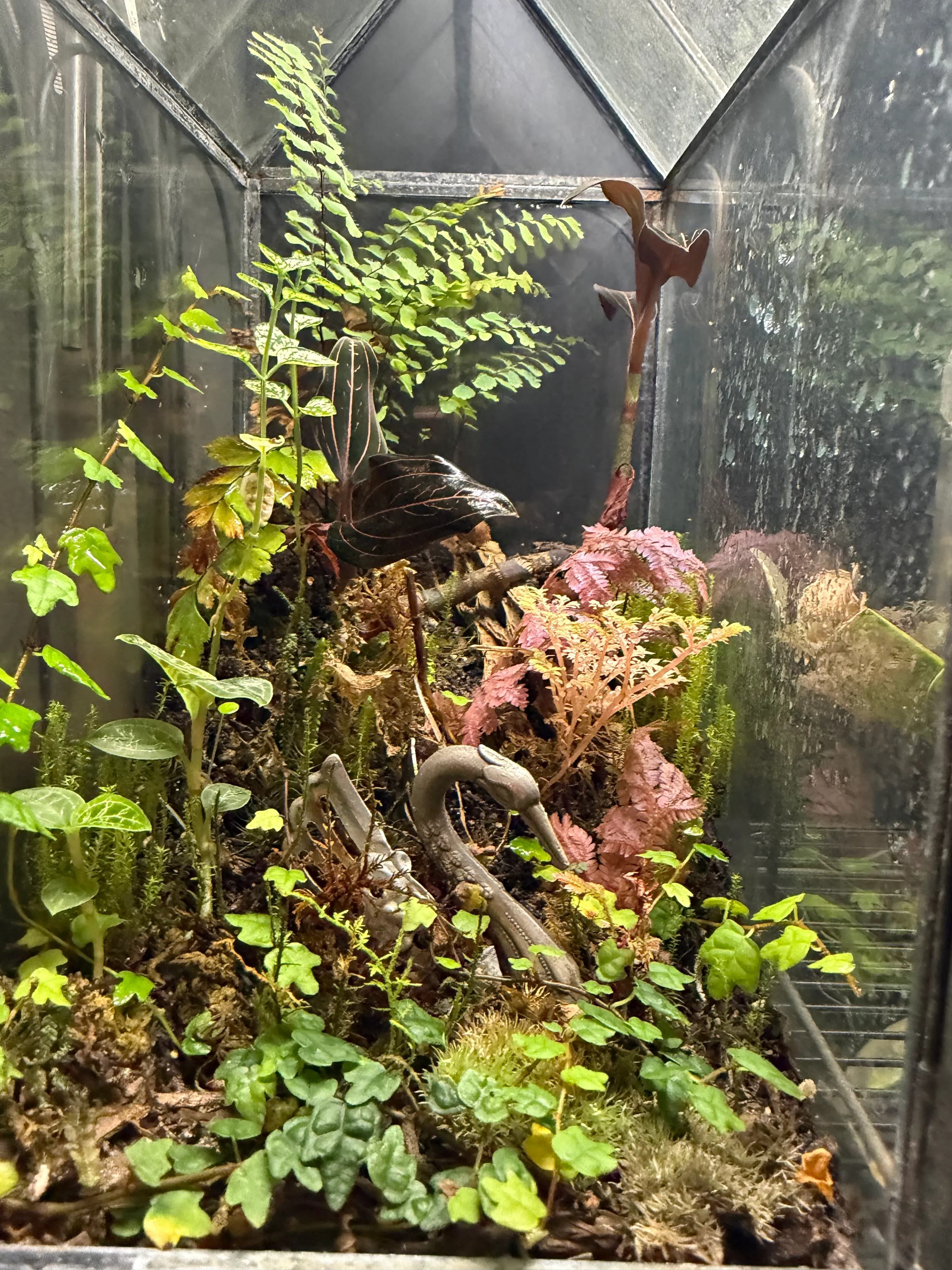 book shelf with terrariums next to it