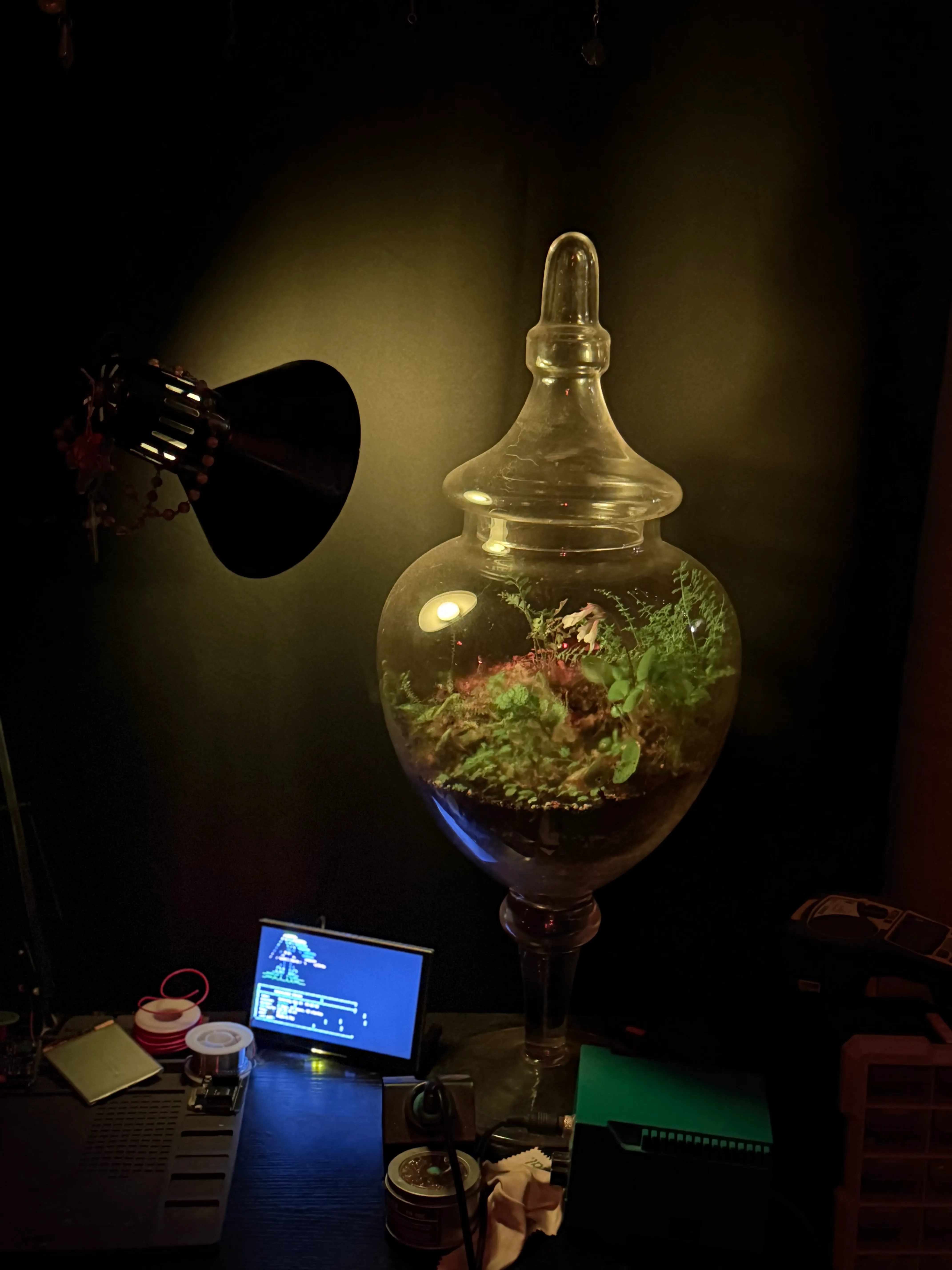 the apothecarium on desk