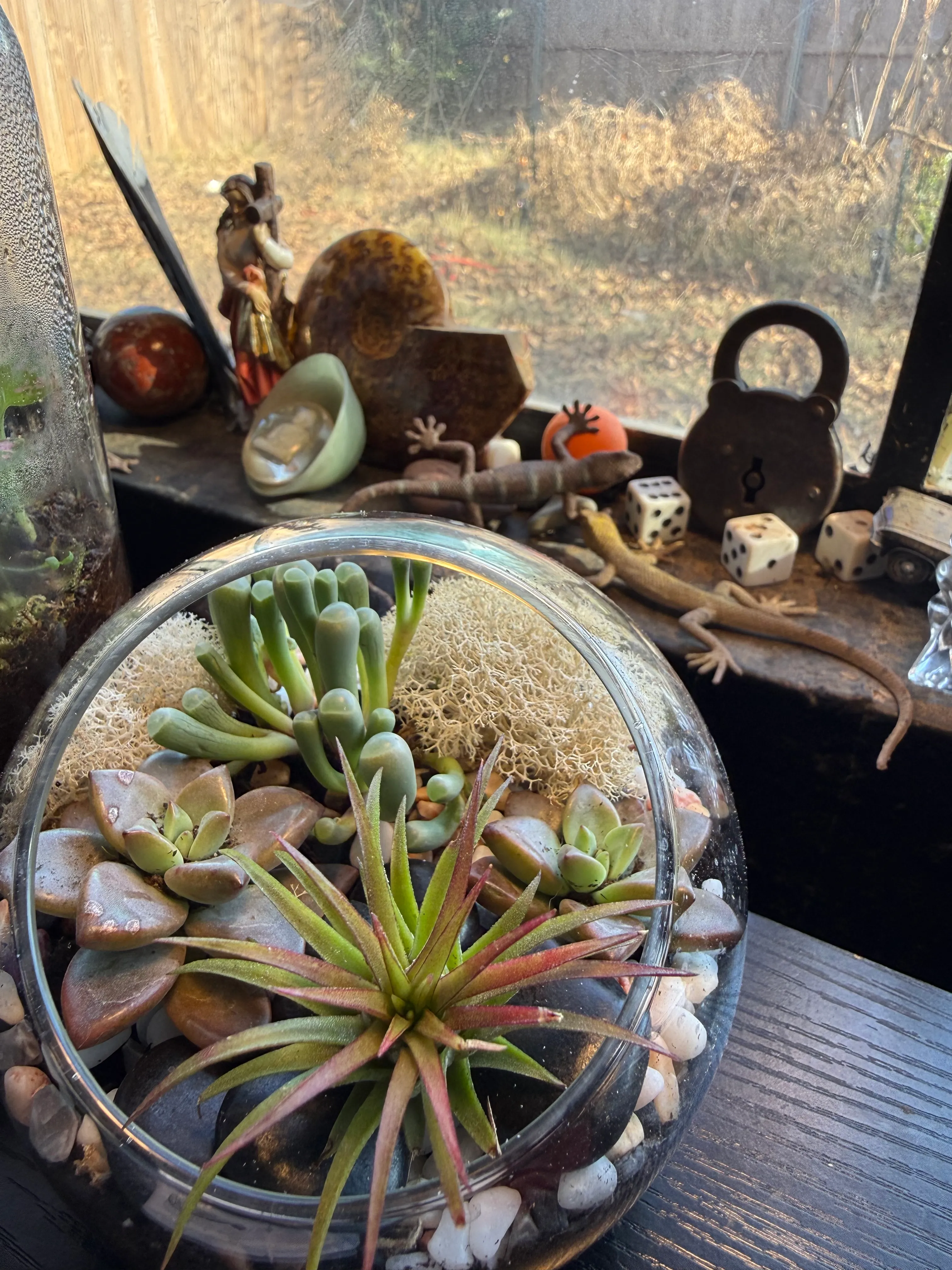 A terrarium