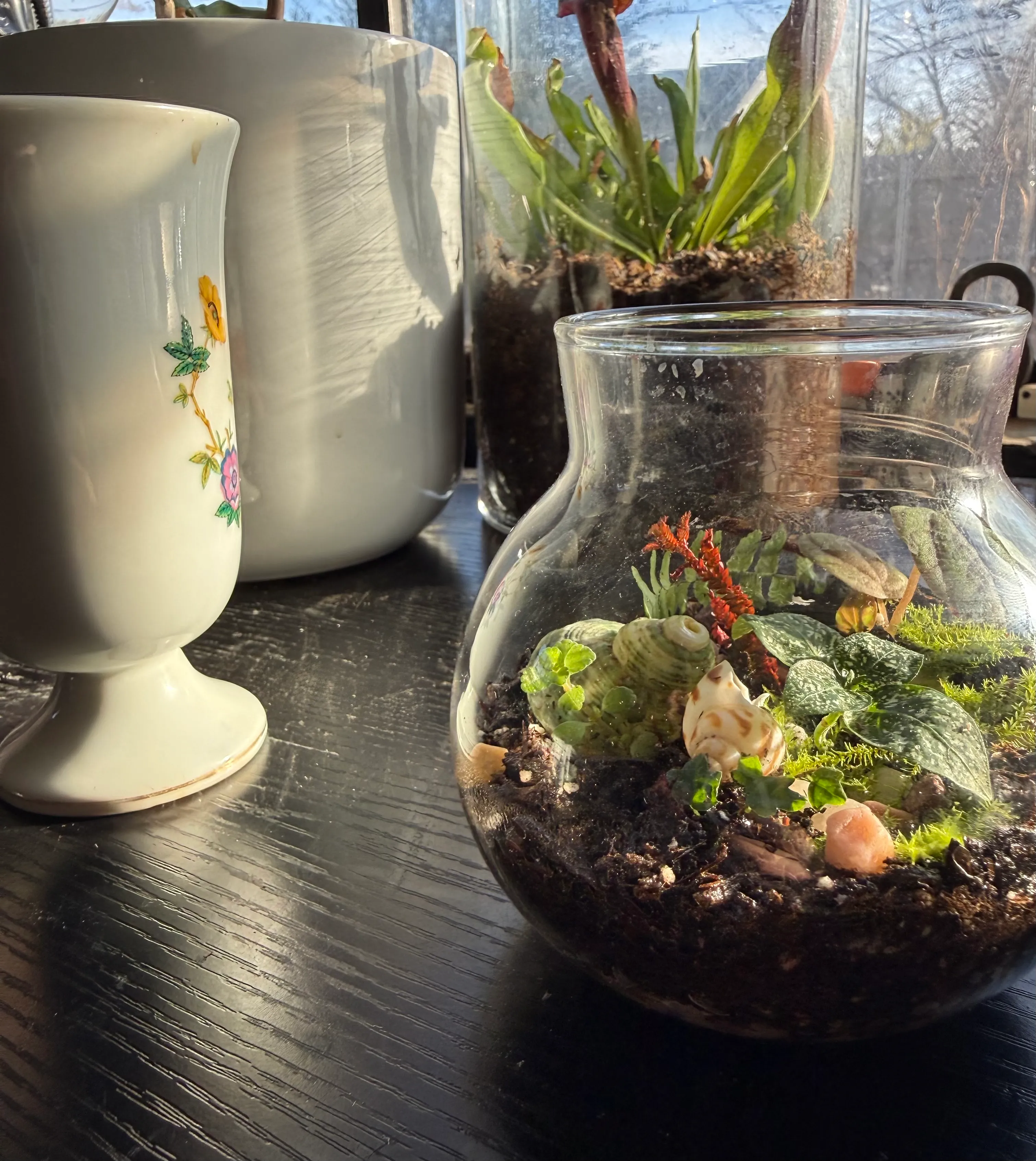 A terrarium