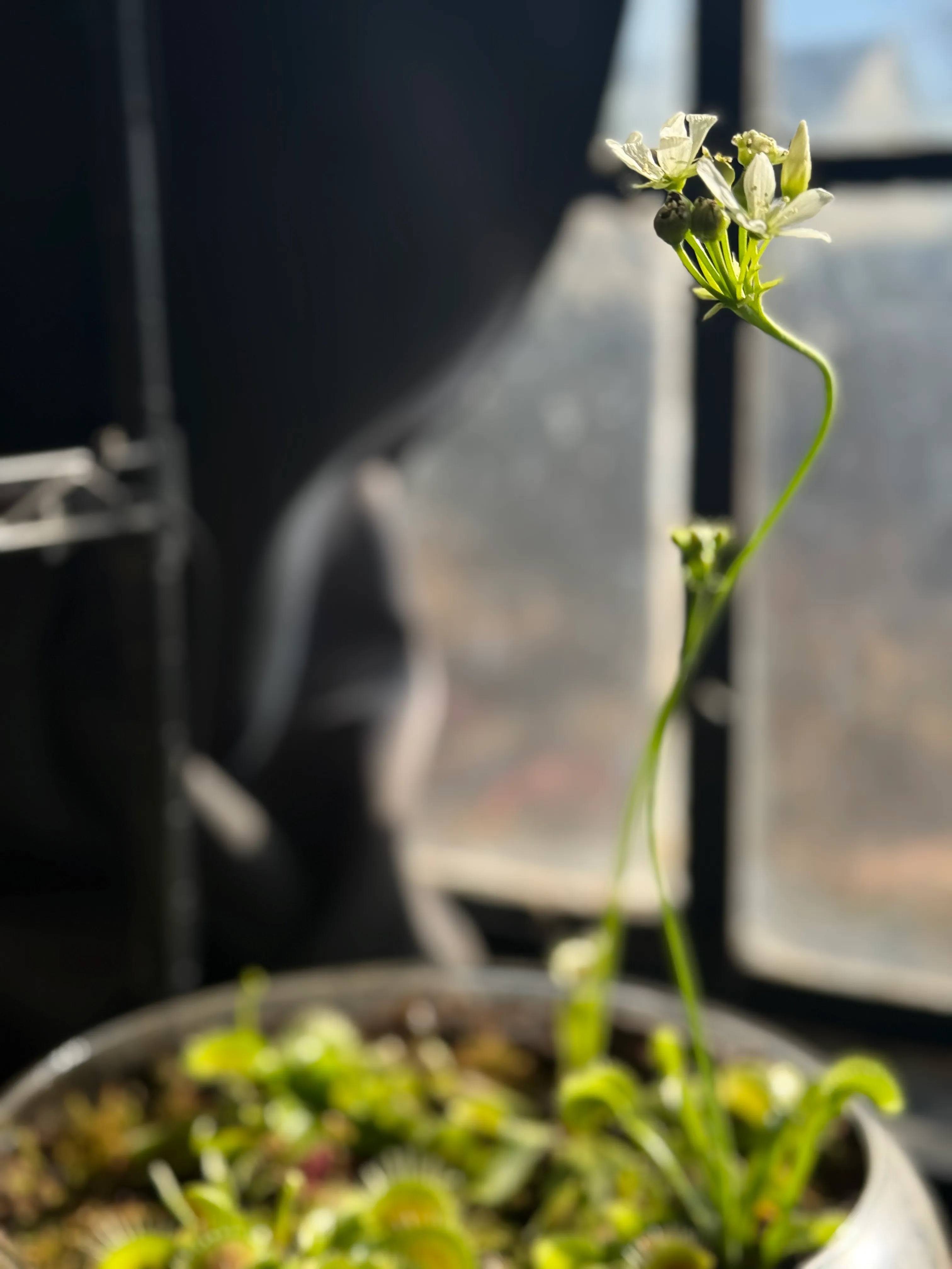 A terrarium